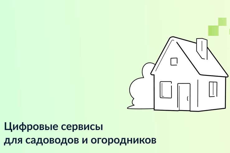О цифровизации СНТ – в прямом эфире