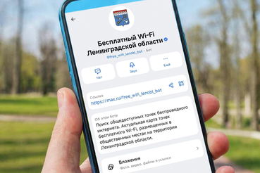 Цифровые помощники для ленинградцев в МАХ