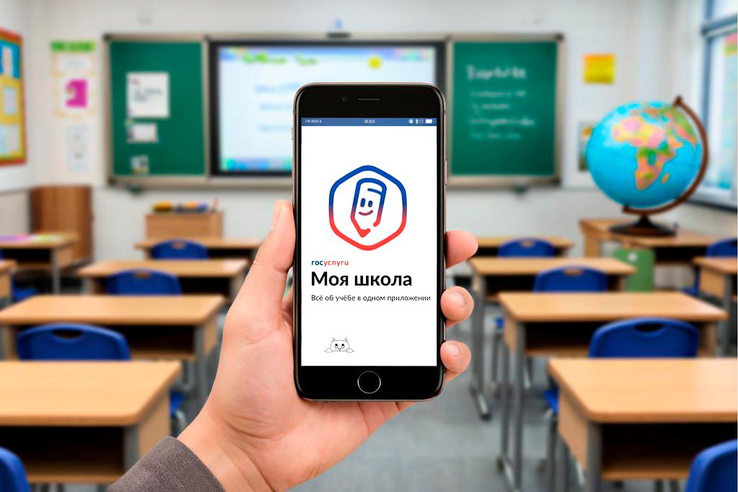 132 тыс. жителей Ленобласти и Петербурга пользуются приложением «Госуслуги Моя школа»