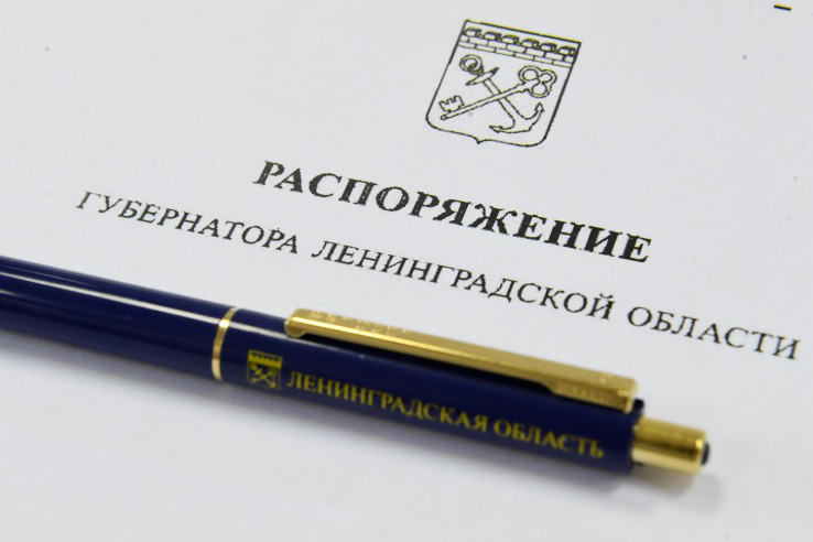 Председателем комитета назначен Денис Золков