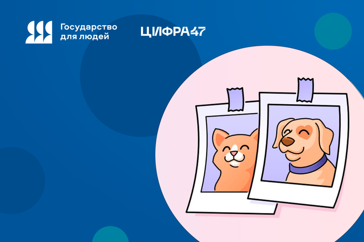 «Мой питомец»: Полезные сервисы для владельцев животных – на Госуслугах