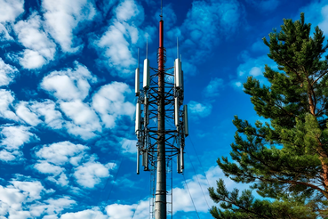 От петровских верфей до LTE: в Подпорожье усилили связь