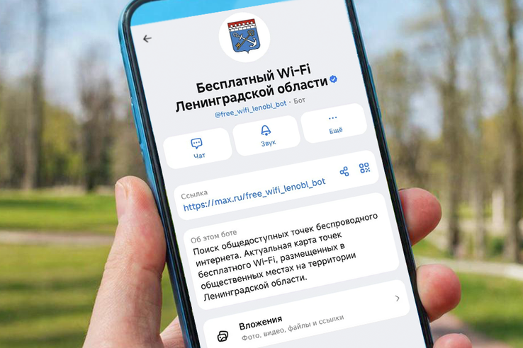 Цифровые помощники для ленинградцев в МАХ